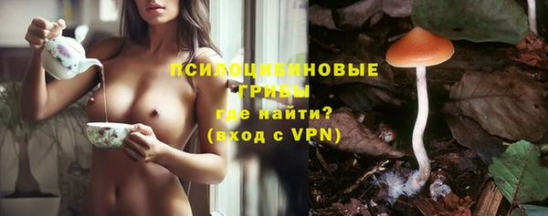 шишки Абаза