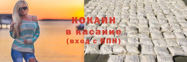 шишки Абаза