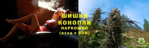 шишки Абаза