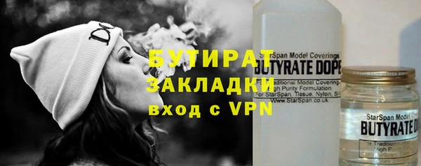 шишки Абаза