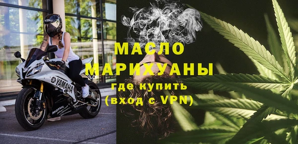 шишки Абаза