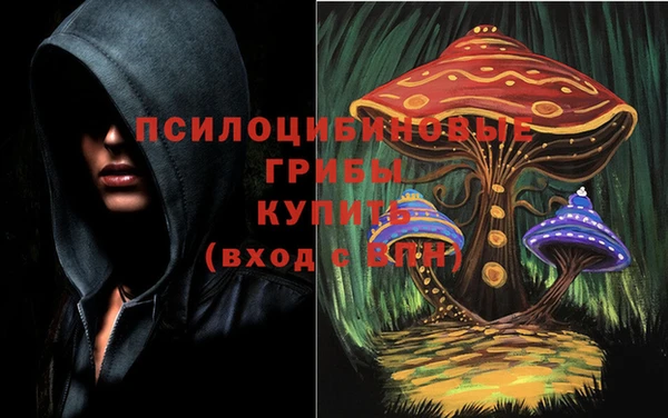шишки Абаза