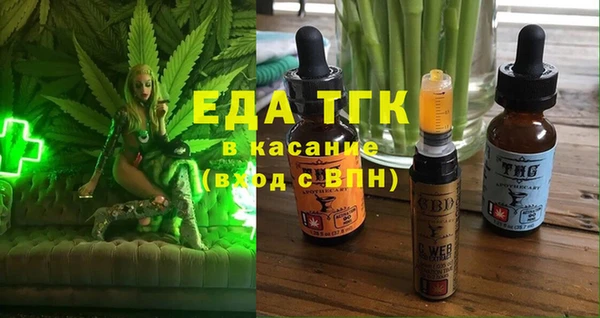 шишки Абаза