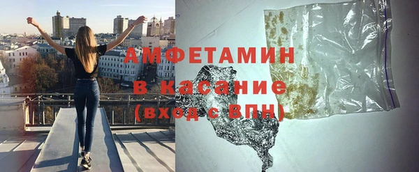 шишки Абаза