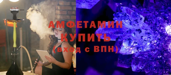 шишки Абаза